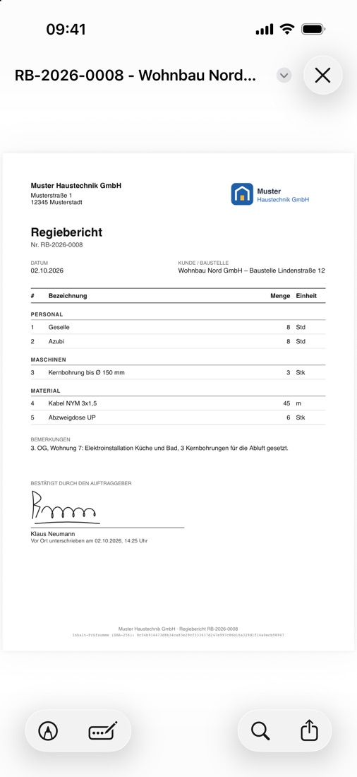 PDF-Vorschau des Regieberichts